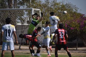 WhatsApp Image 2026-03-12 at 15.41.42